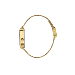 Daniel Klein - DK.1.13963-4