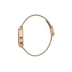 Daniel Klein - DK.1.13963-6